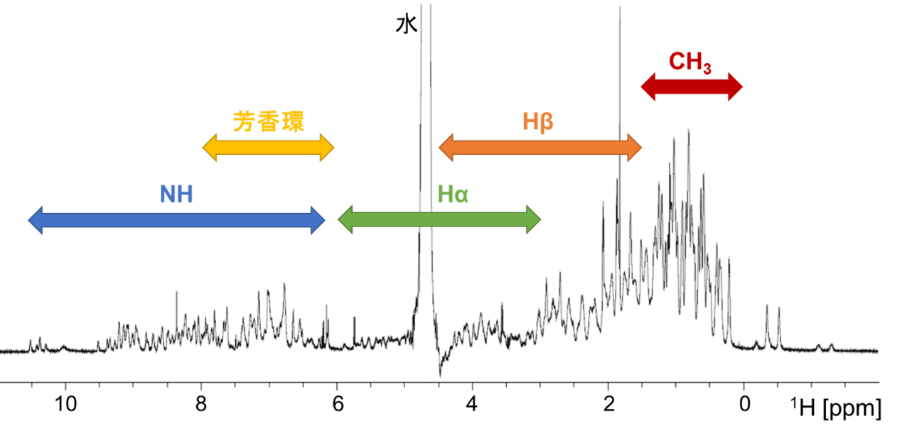 【図1】試料の1H NMRスペクトル（水消しにより水ピークを低減）
