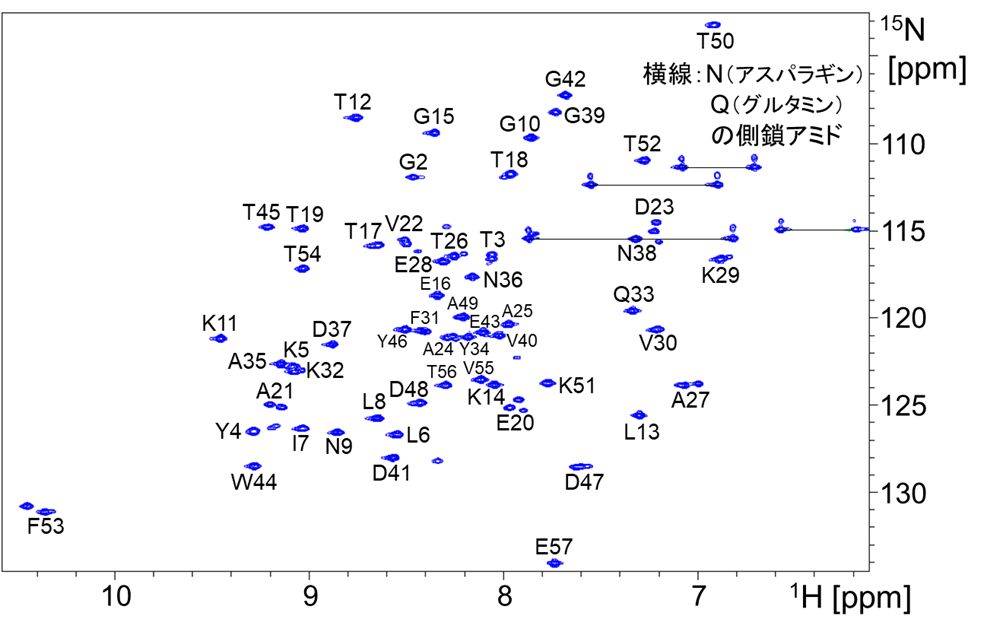 【図8】GB1の主鎖解析結果（1H-15N HSQCスペクトルは図2と同一）
