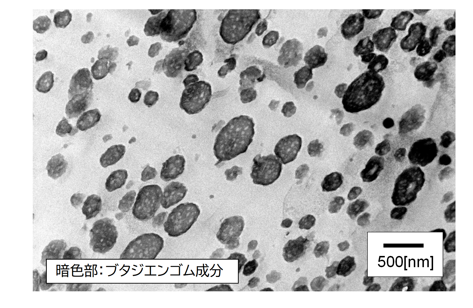 例）ABS*1樹脂のTEM観察結果
*1ポリアクリロニトリル－ポリブタジエン－ポリスチレン
