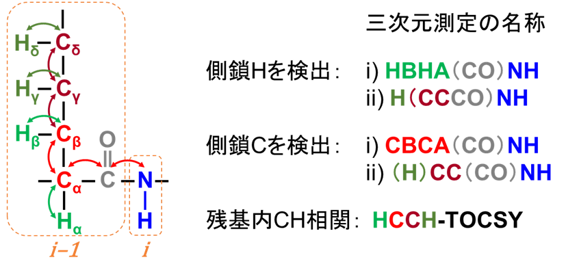 【図2】側鎖解析用三次元測定の磁化移動イメージおよび名称
