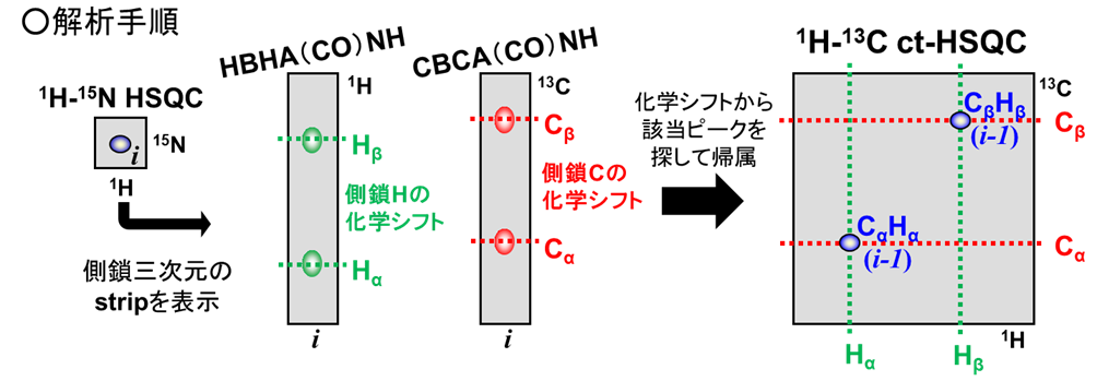 【図3】側鎖帰属の模式図
