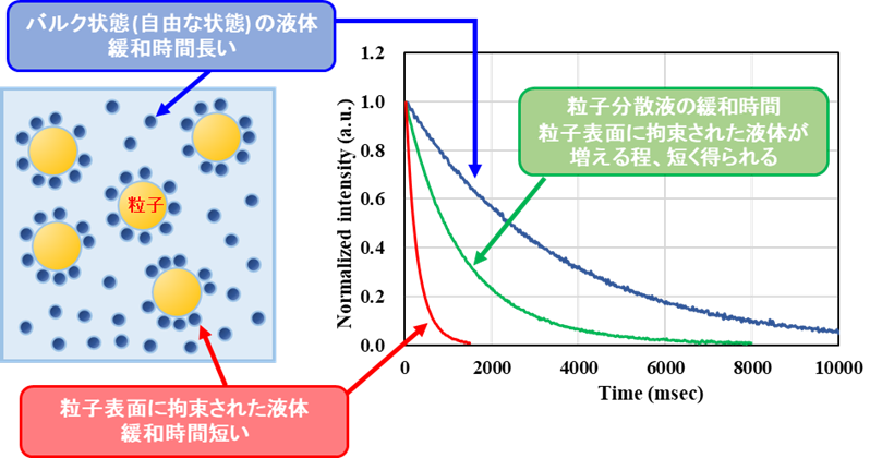 【図1】粒子分散液中の液体の状態とその緩和時間
※ 上図はあくまでもイメージ図で実際はこのような束縛層を形成しているわけではありません。
