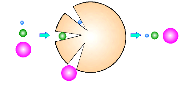 【図 1】サイズ排除によるポリマーの分離原理モデル 1)
(円錐モデル)
