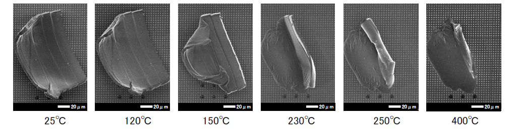 【図2】FE-SEMによる多層膜フィルムの加熱に伴う形態変化観察
