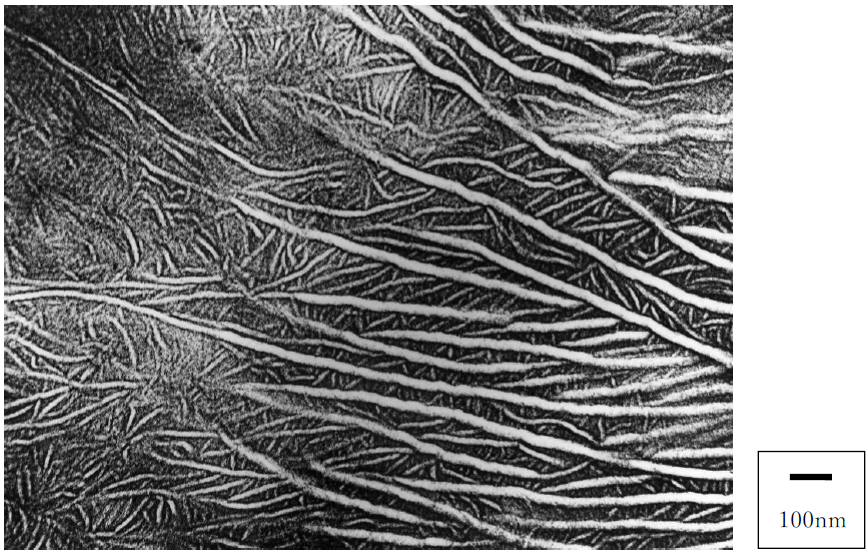 HDPE/L-LDPEブレンド
