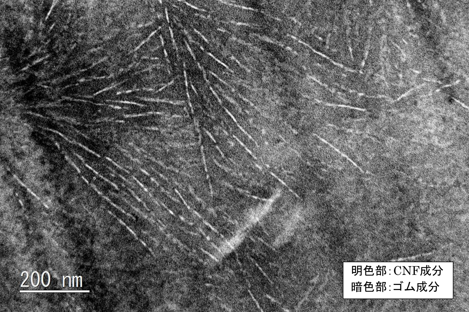 CNF添加合成ゴム
