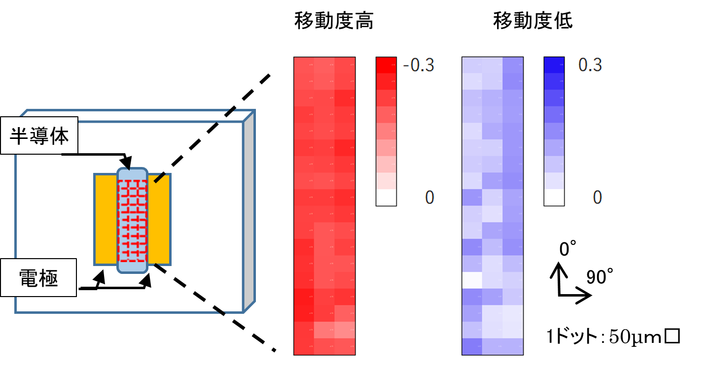 【図3】2954㎝-1の吸光度比マッピング（式1の係数値を色で表記）
移動度が高い試料は、全領域で配向の絶対値が大きい（色が濃い）。
移動度が低い試料は、配向していない部分が存在する（色が薄い部分が点在）。
