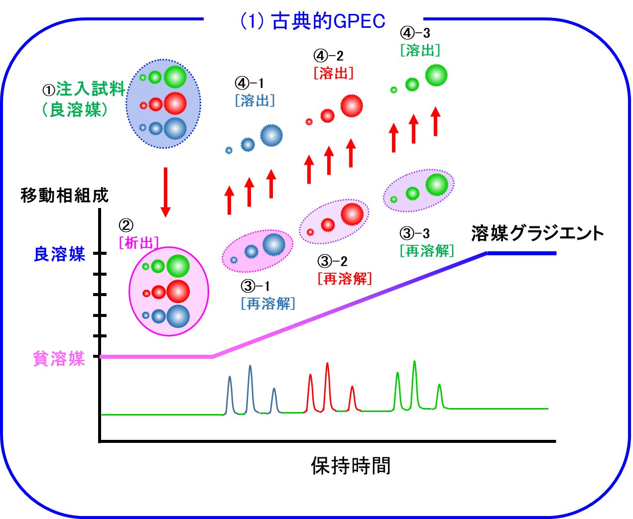 【図1】GPECの分離機構(1)：溶解度が主要因と考えたもの試料の色は組成の違いを、
球の大きさは分子量の違いを表します。
