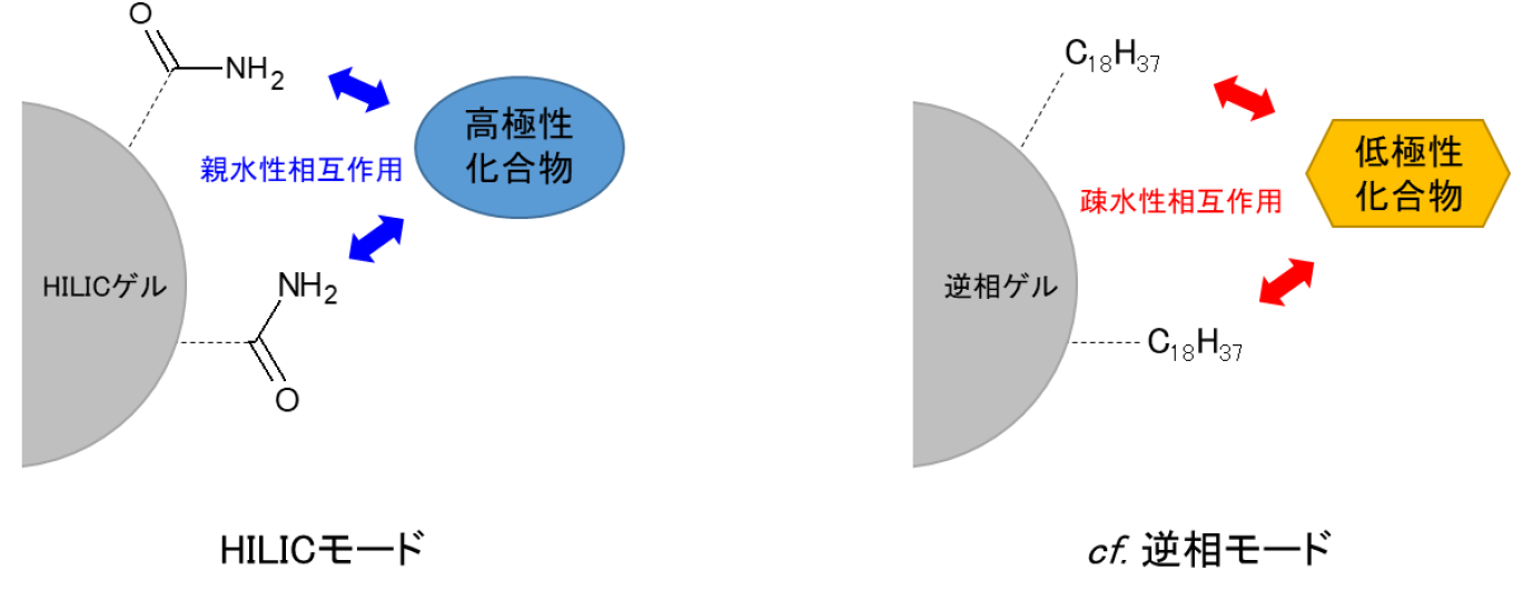 【図1】HILICモードの概念図
