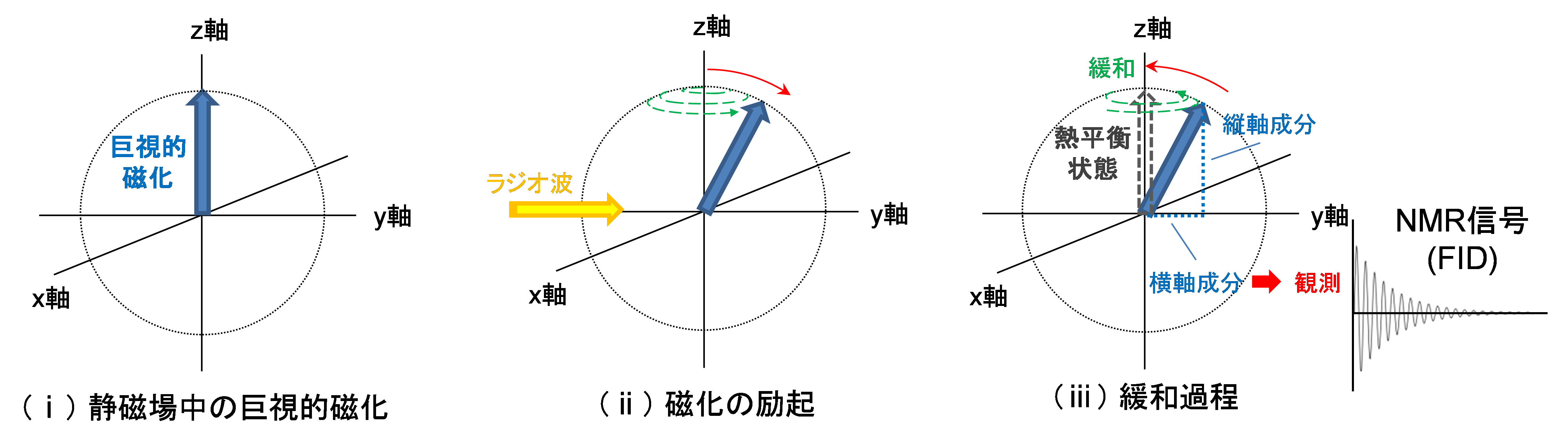 【図1】NMR測定での巨視的磁化の挙動
