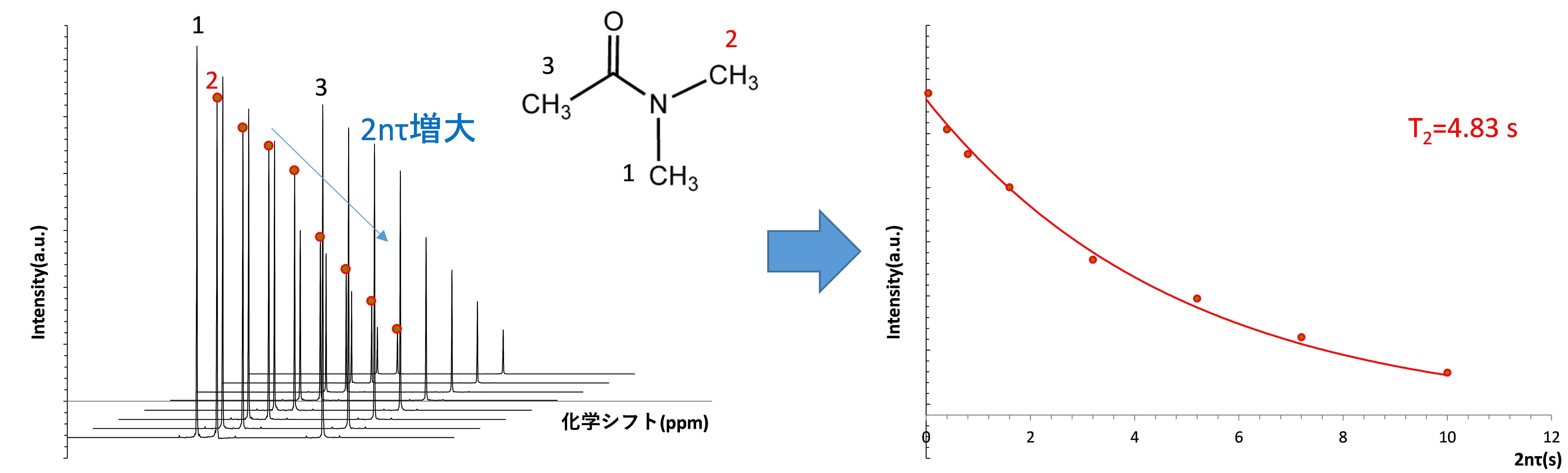 【図11】DMAのCH3基(2)のT2解析結果(2nτ =0.04s～10s)
