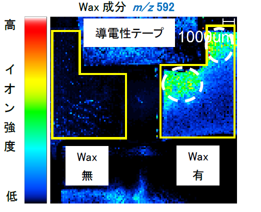 【図5】Wax成分のMSイメージング測定結果
