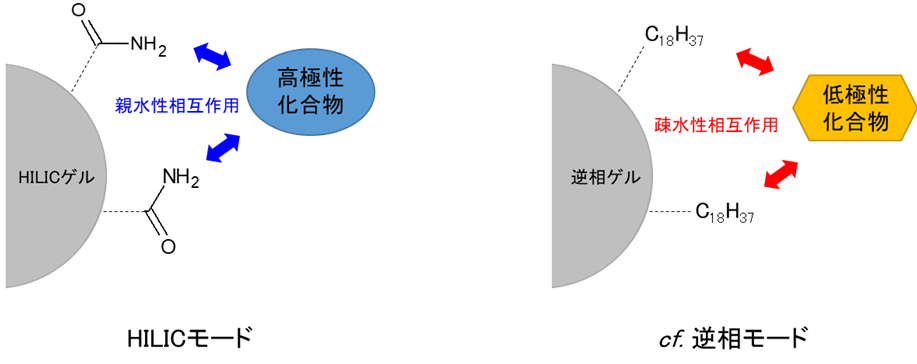 【図2】HILICモードの概念図
