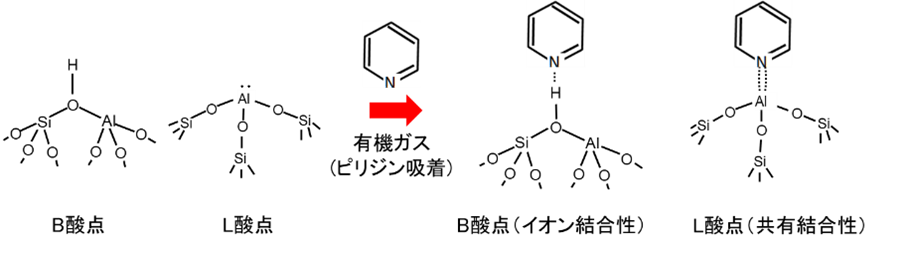 【図1】ピリジン吸着モデル図

